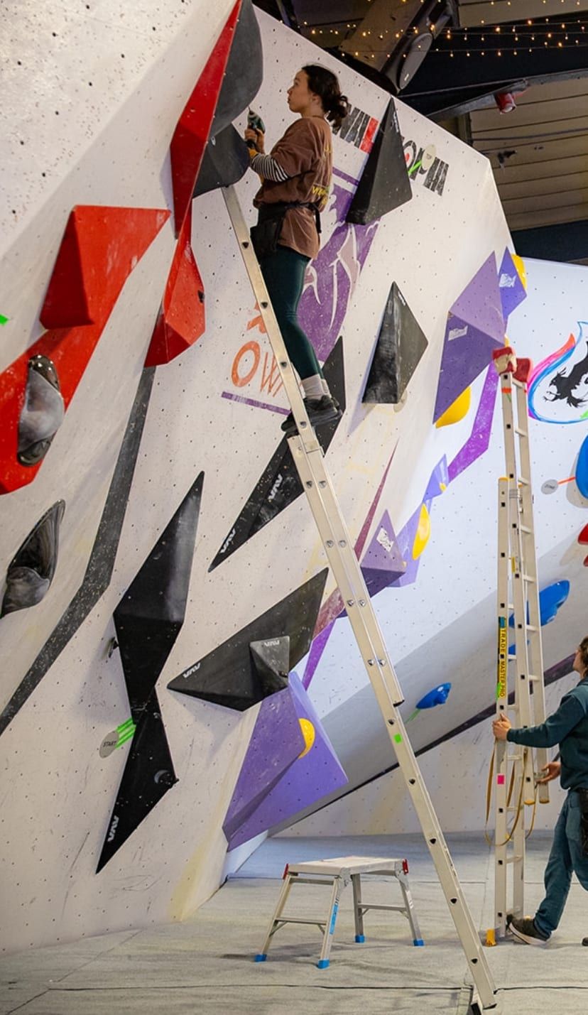 Kitty setting from a ladder on the comp wall